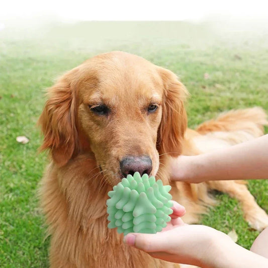 Rubber Treat Dispensing Chew Ball for Dogs and Cats